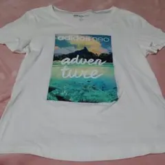 adidas　neo      Tシャツ　L    白