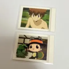 家庭教師ヒットマンREBORN! 沢田綱吉　リボーン　ぱしゃこれ