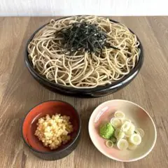 食品サンプル まるで本物 実物大 そば 蕎麦 ざるそば もりそば せいろ 揚げ玉