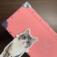 ❤️エンジェル❤️ピンク❤️シャンパンケース❤️空箱❤️もちまる日記❤️猫❤️スマホスタンド❤️