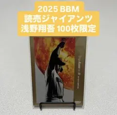 Item thumbnail for item 5b1c0b20-ad5f-4708-bd33-cf4edbce89a9