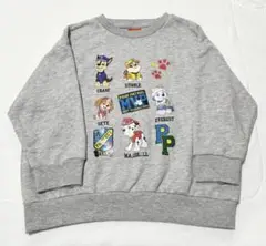 パウパトロール 120