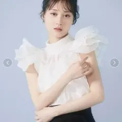 2026年最新】snidel ハーフスリーブオーガンジーブラウスの人気
