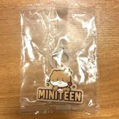 MINITEEN セブチ ぷっくりめじるしアクセサリー　ディノ ガチャ 目印