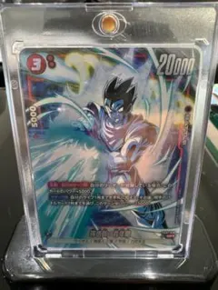 孫悟飯　青年期　srパラレル