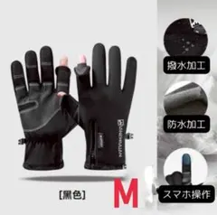 Item thumbnail for item b134dad4-69f0-479c-82cf-60f69f79a487