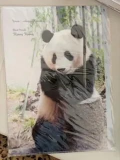 こたあず様 リクエスト 4点 まとめ商品