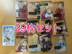 ハイキュー!! ファンパーク カード29枚セット