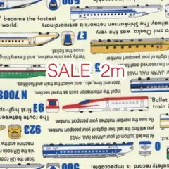 ラスト2点 SALE 2m 新幹線 アイボリー オックス