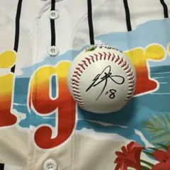阪神タイガース モレッタ選手 直筆サインボール 2026沖縄キャンプ限定