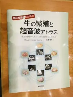 Kouma様 リクエスト 2点 まとめ商品
