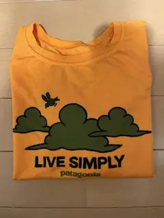 パタゴニア　ラッシュガード　4T