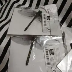 Item thumbnail for item f229f0aa-8bcf-4e8e-97c1-fb8006d98051