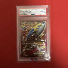 2026年最新】サメハダーex psa10の人気アイテム - メルカリ