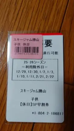 スキージャム勝山 子供用（小学生）リフト券