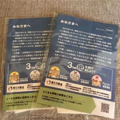 布マスク 2枚入り