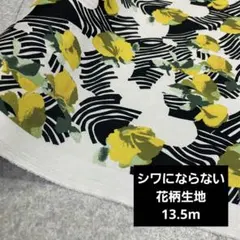 まる(プロフ確認お願いします。)様 リクエスト 2点 まとめ商品 生地 布
