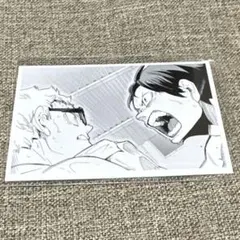 ハイキュー 10th クロニクル 思い出スナップフォトカード 烏野 プライド