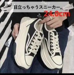 春新作訳あり！厚底ブラックホワイトスニーカー ライン キャンバス ロウカット