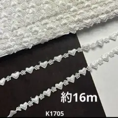 ケミカルレース約16m