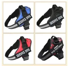 Item thumbnail for item fe4d5c72-9474-4c37-8f5c-903dcefda7ad