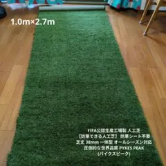 인조 잔디, 진짜 인조 잔디
