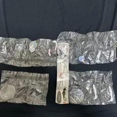 Gasha Portraits　シン・エヴァンゲリオン劇場版03 2体セット