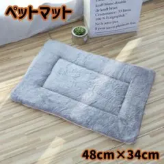 Item thumbnail for item 75eb602f-b9a8-41ea-b6e2-38521cf83f15