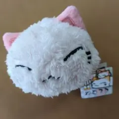 2026年最新】ねむネコぬいぐるみの人気アイテム - メルカリ