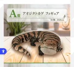 爬虫類＆両生類TinyFriends.vol.2 一番くじ A賞 アオジタトカゲ