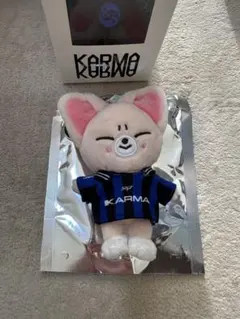 stray kids karma skzoo