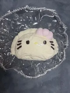 海外スクイーズ 餃子