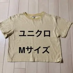 ユニクロ　ストライプデザインのMサイズ半袖Tシャツ。
