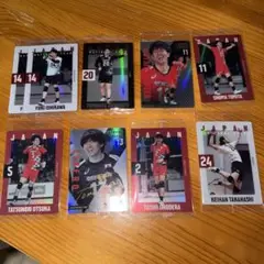 バレーボール選手トレーディングカードセット