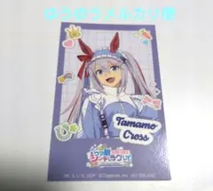 ウマ娘 シンデレラグレイ タマモクロス インスタントフォト風イラストシート