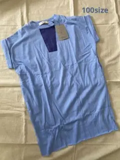 Item thumbnail for item 1385cf8b-d8bb-49f3-8d9d-2422890e935d