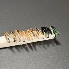 Item thumbnail for item 474909d9-ff6b-4f0b-ad21-41304fbe570d