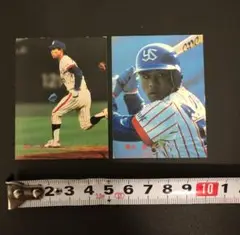 管理番号1459 ヤクルトスワローズ 青木実 プロ野球カード2枚セット