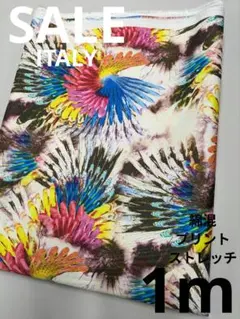 Item thumbnail for item fdab4eaf-01de-410a-9462-f742d364dfb2