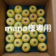 【mana様専用】