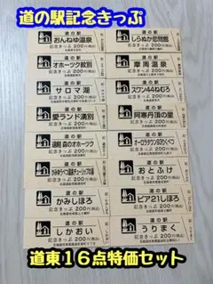 道の駅　記念きっぷ　北海道１６０円券４５枚と非売品５枚　駅名変更の冨士見を含む 道の駅 記念きっぷ 北海道160円券45枚と非売品5枚 駅名