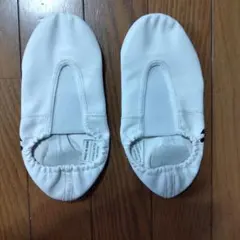 Item thumbnail for item c6d95313-d1d9-4ff0-8f47-db745bde4d7d