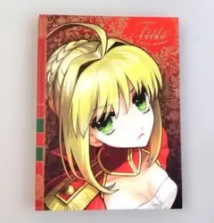 Fate EXTRA Visual Works CD