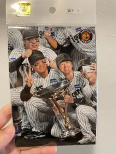 森下翔太ブロマイド