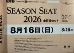みずほPayPayドーム 2026年7月11日 駐車券 - メルカリ
