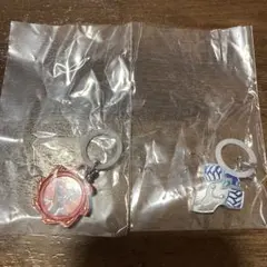 スーパー戦隊シリーズ めじるしアクセサリー アバタロウギア 脳人ブレス ②