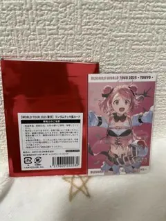 笹木咲 にじさんじ SitR東京公演 ランダムチェキ風カード