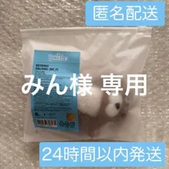 BOYNEXTDOOR プネクド ダーリン リウ キーリング 未開封