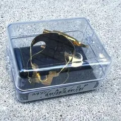 Item thumbnail for item 6232dfed-79b7-4c1f-b084-273423384911