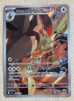 美品】アオキのムクホーク AR仕様 スタデ100 - メルカリ